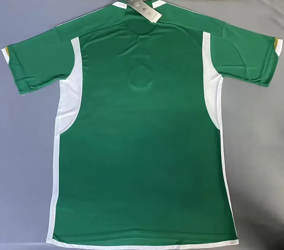 2022/23 Algeria Away Green Fans Jersey Detail 2
