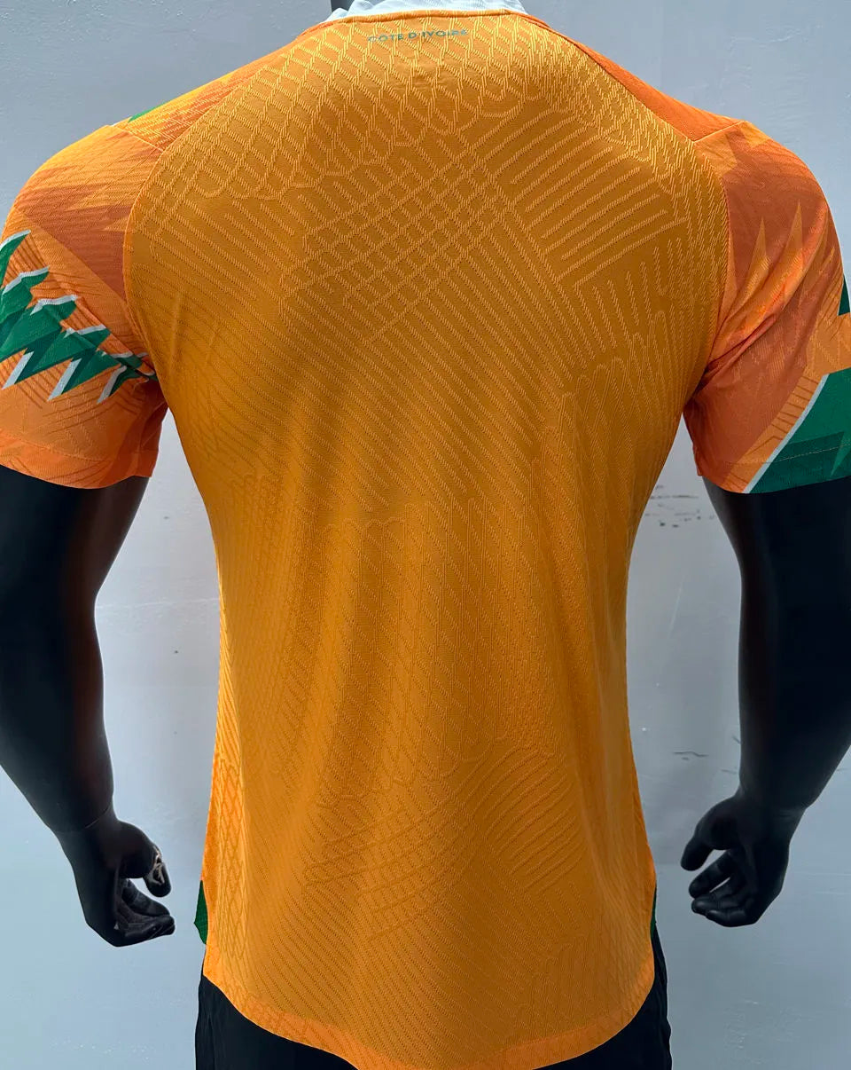 2024 Ivory Coast Special Edition Orange Player Version Jersey Back