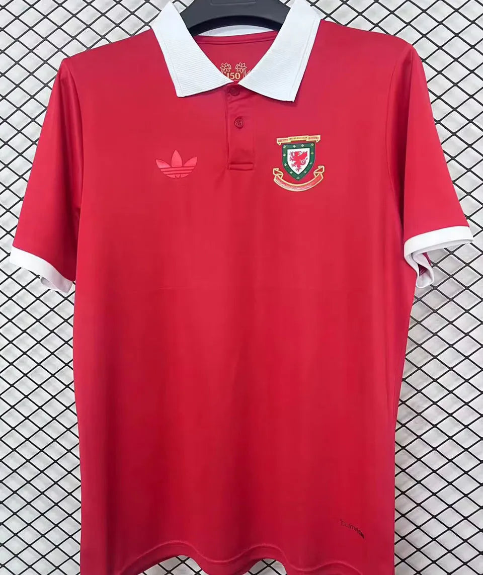 2026/27 Wales 150TH Anniversary Edition Fans Soccer Jersey Front