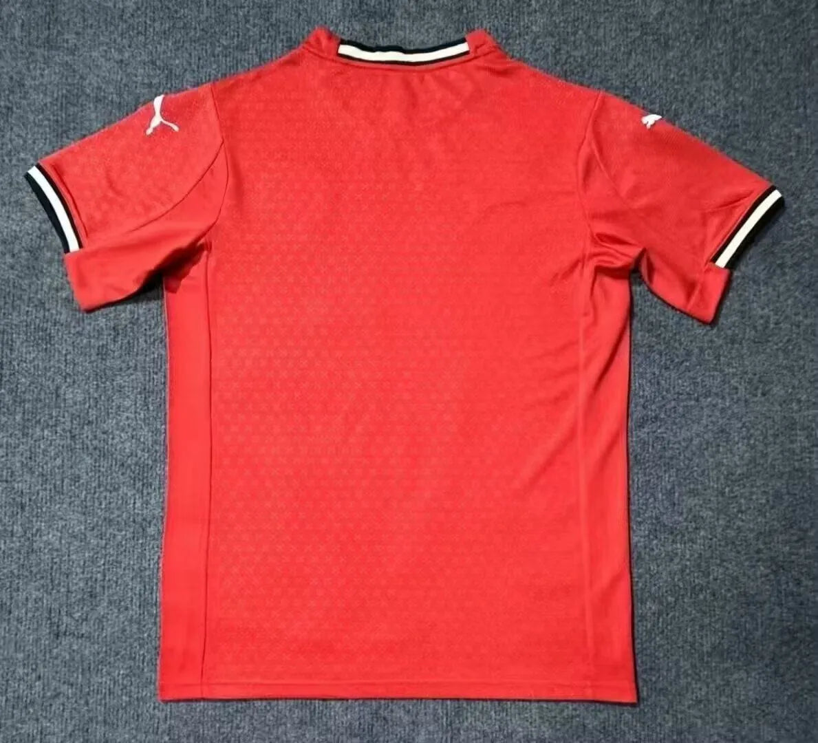 2025 Portugal Home Red Fans Soccer Jersey Back