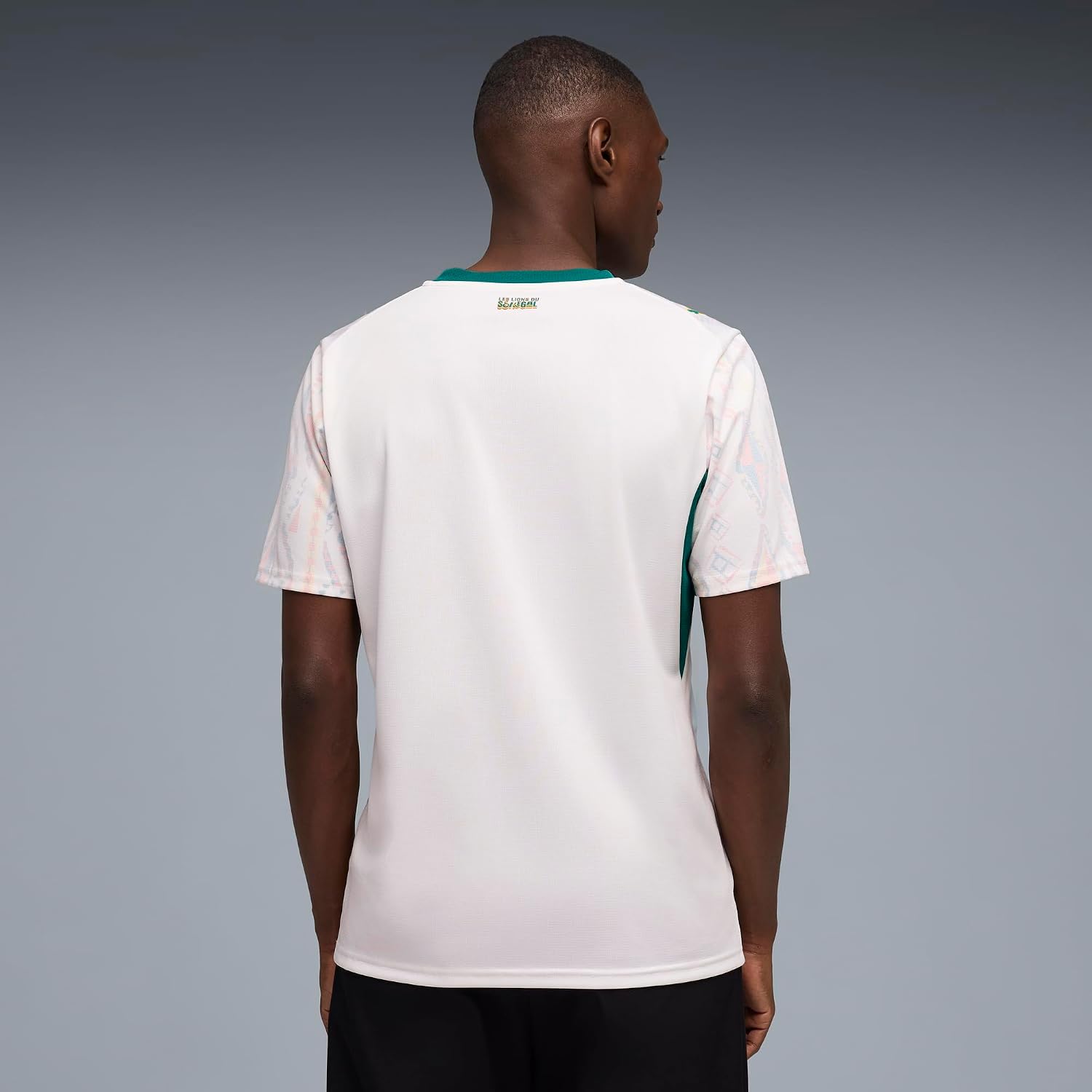 Men's Senegal Home Soccer Jersey, White-Wild Green, Replica Cloth