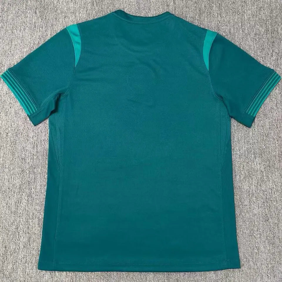 2025/26 Nigeria Away Green Fans Soccer Jersey Back
