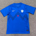 2026/27 Slovenia Home Blue Fans Soccer Jersey Front