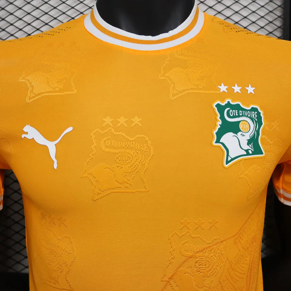 2025 Ivory Coast Special Edition Orange Player Version Jersey Detail 1