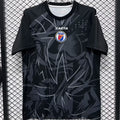 2026/27 Haiti Special Edition Fans Soccer Jersey 海地 Front