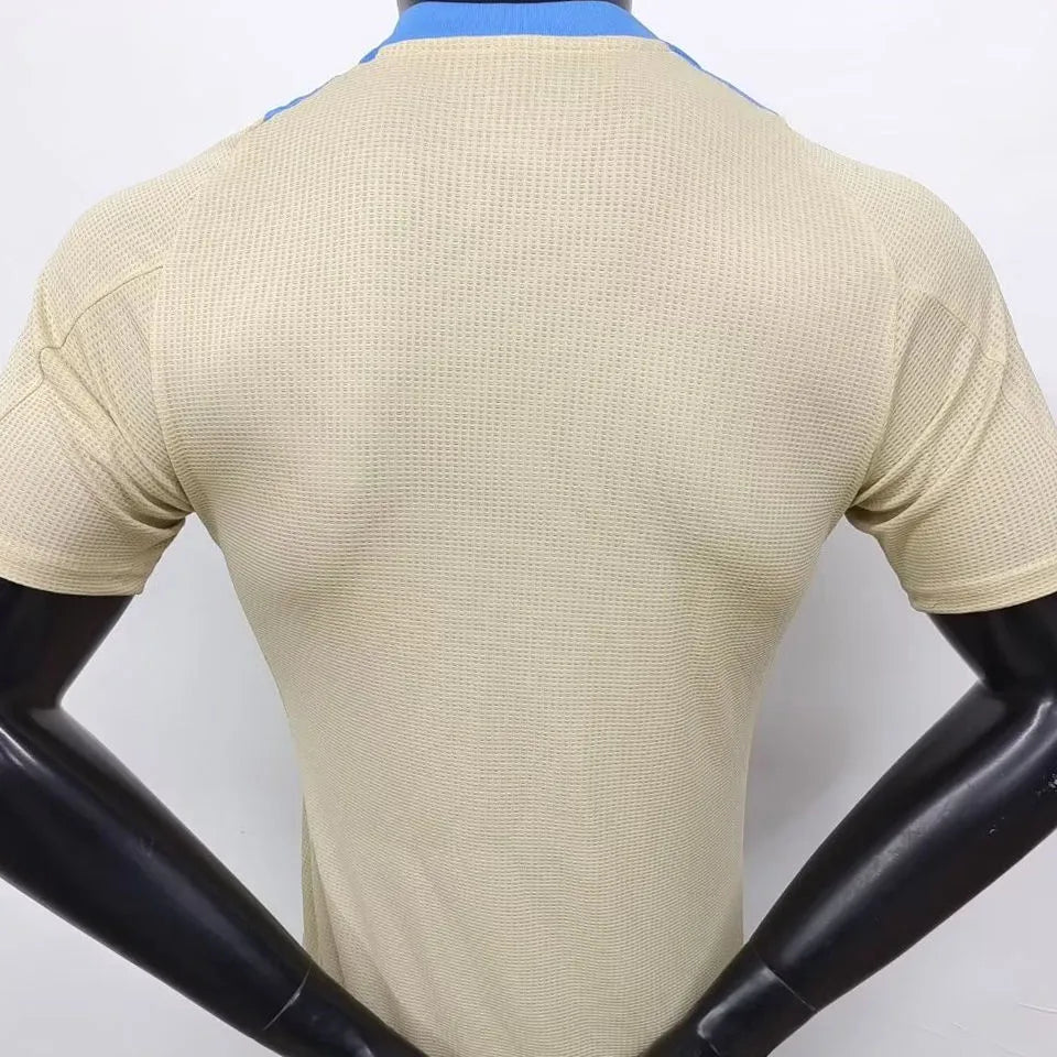 2024/25 Argentina Player Version Soccer Jersey Back