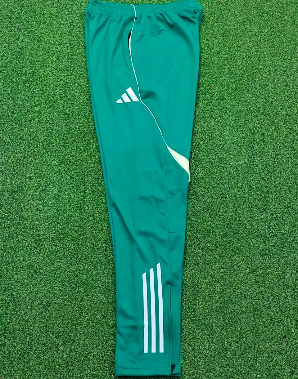 2025/26 Algeria Green Sports Trousers 绿色 Detail 1
