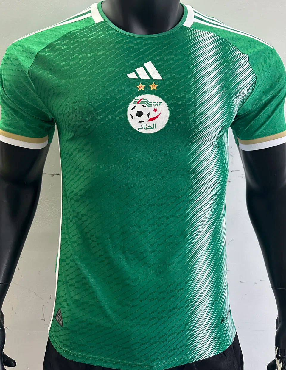 2022/23 Algeria Away Green Player Version Jersey Front