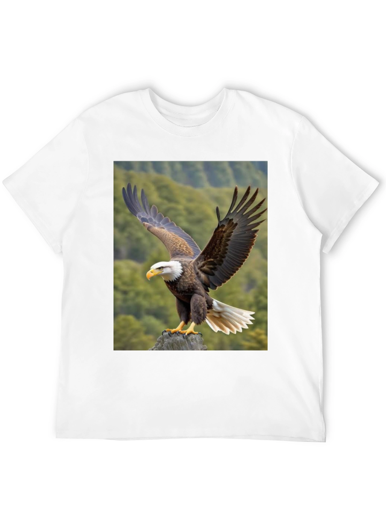 Eagle Graphic T-Shirt - Nature Print Tee