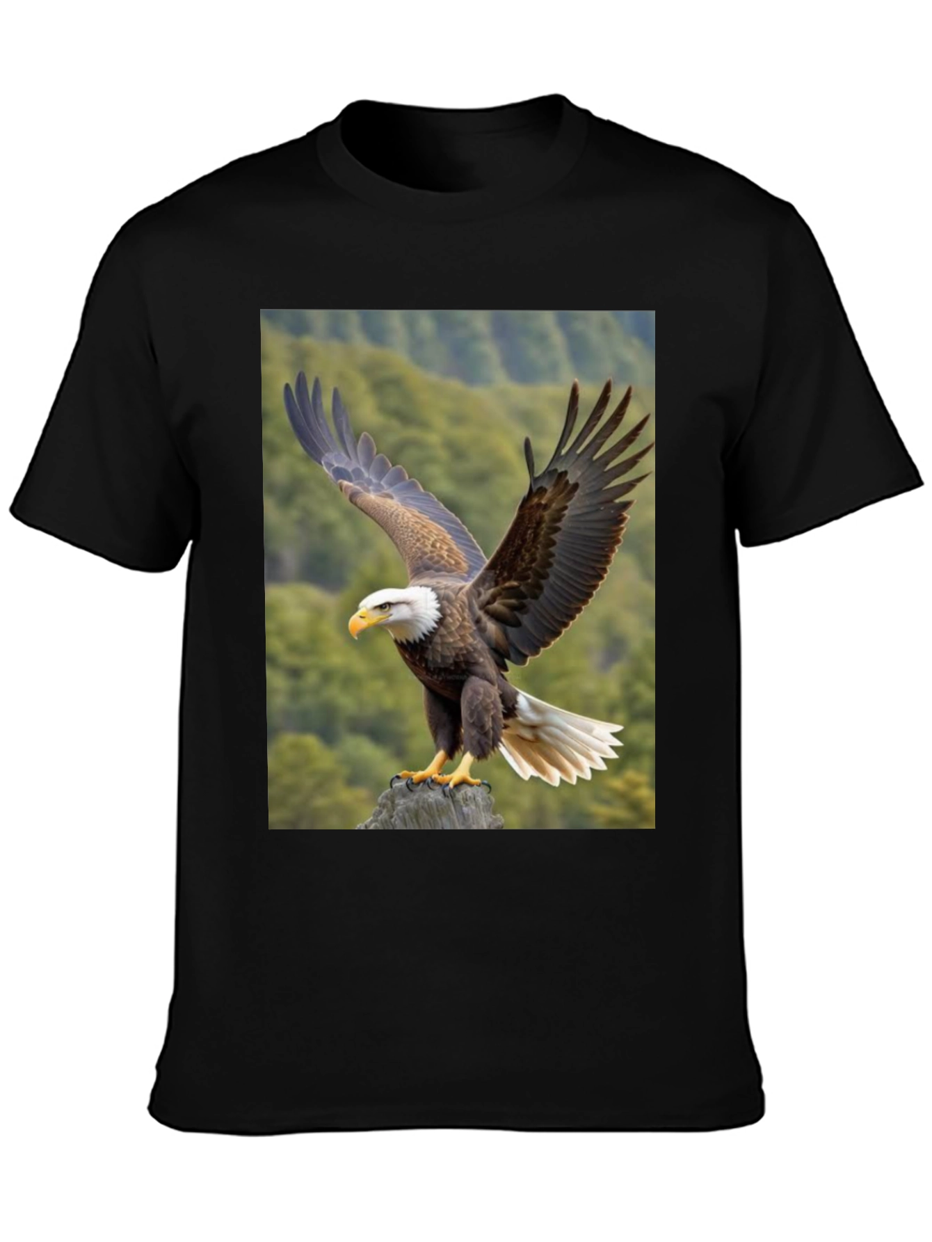 Eagle Graphic T-Shirt - Nature Print Tee
