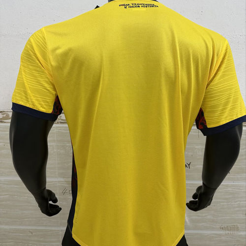 2026/27 Ecuador Home Yellow Player Version Soccer Jersey Item NO.: 2152492 Back