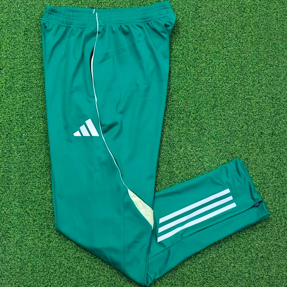 2025/26 Algeria Green Sports Trousers 绿色 Back