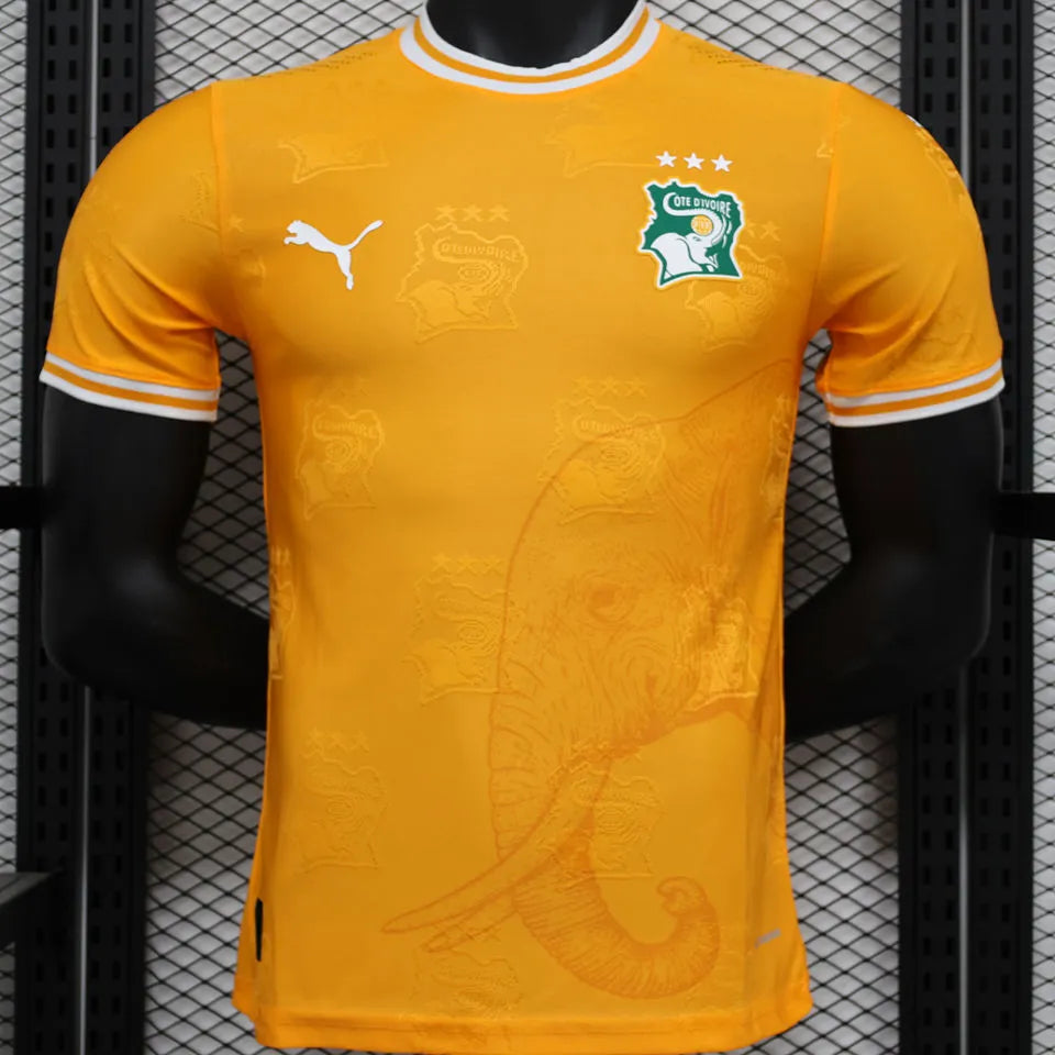 2025 Ivory Coast Special Edition Orange Player Version Jersey Front