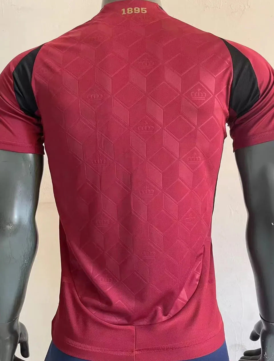2024/25 Belgium Home Player Version Soccer Jersey Back