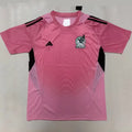 2026/27 Mexico Goalkeeper Pink Fans Soccer Jersey Front