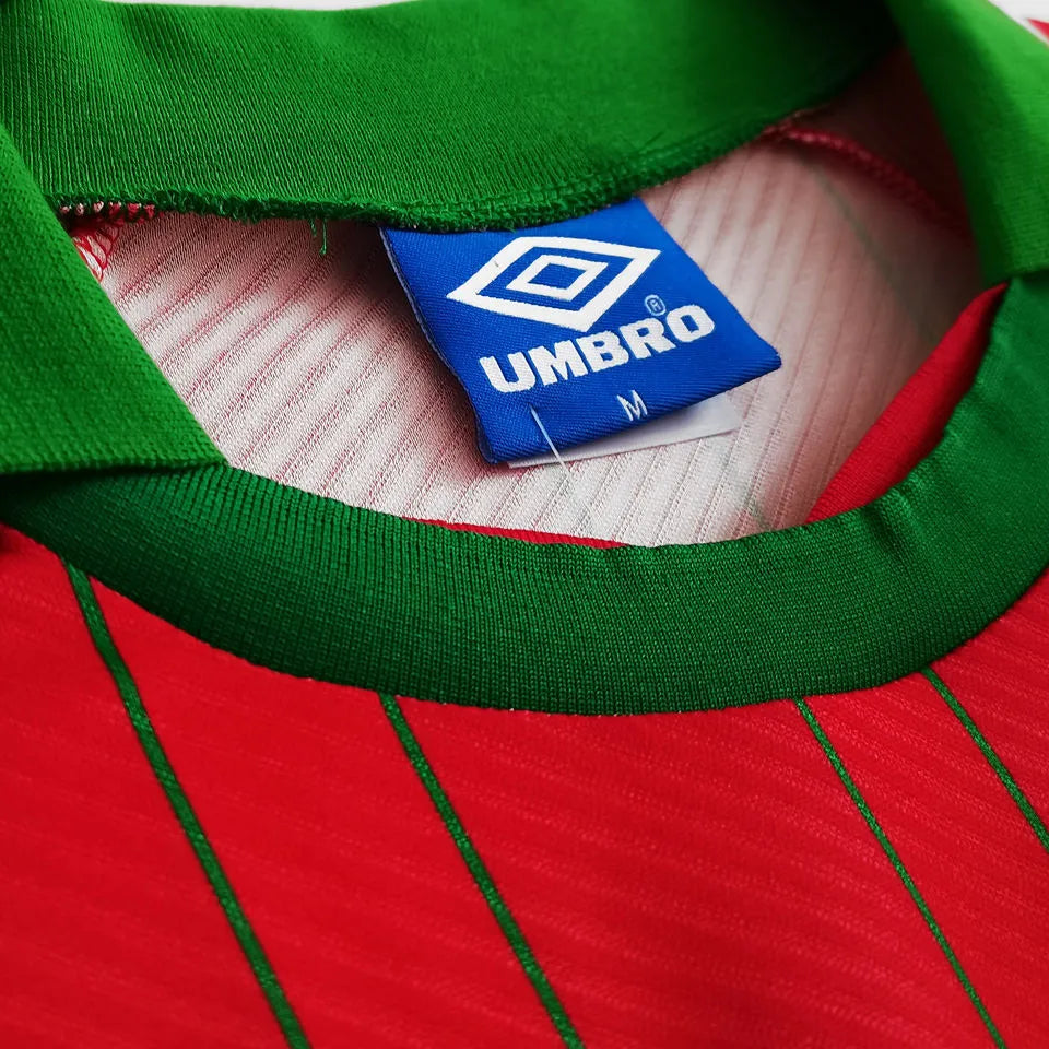 1994/96 Wales Home Red Retro Soccer Jersey Detail 2