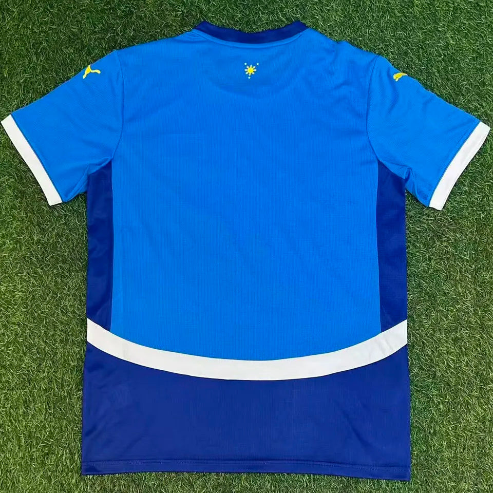2026/27 Philippine Home Fans Soccer Jersey 菲律宾 Back