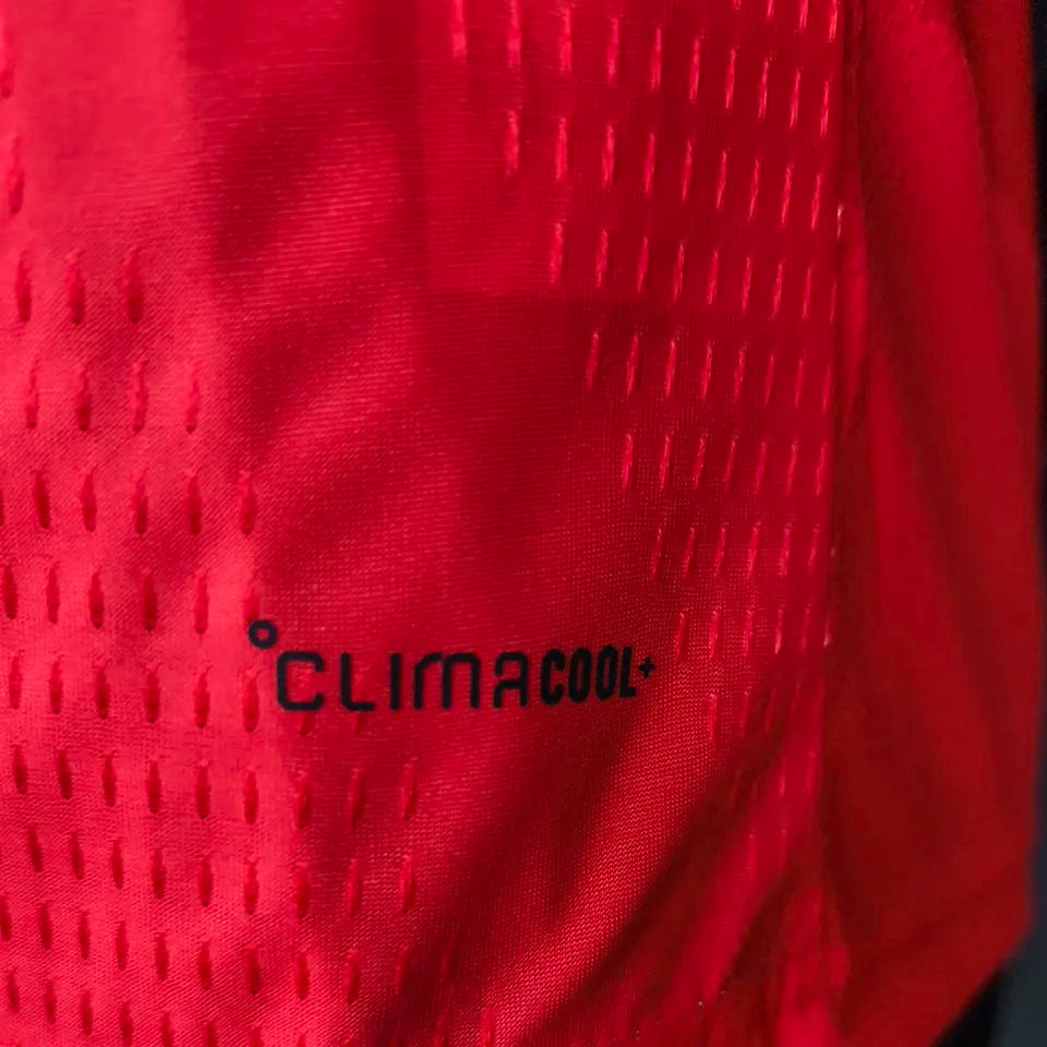 2026/27 Algeria Red Player Version Soccer Jersey Detail 3