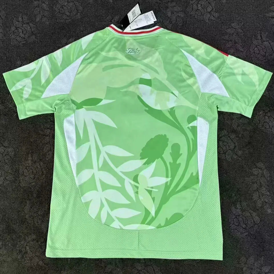 2025 Italy Female World Cup Green Away Fans Soccer Jersey Back