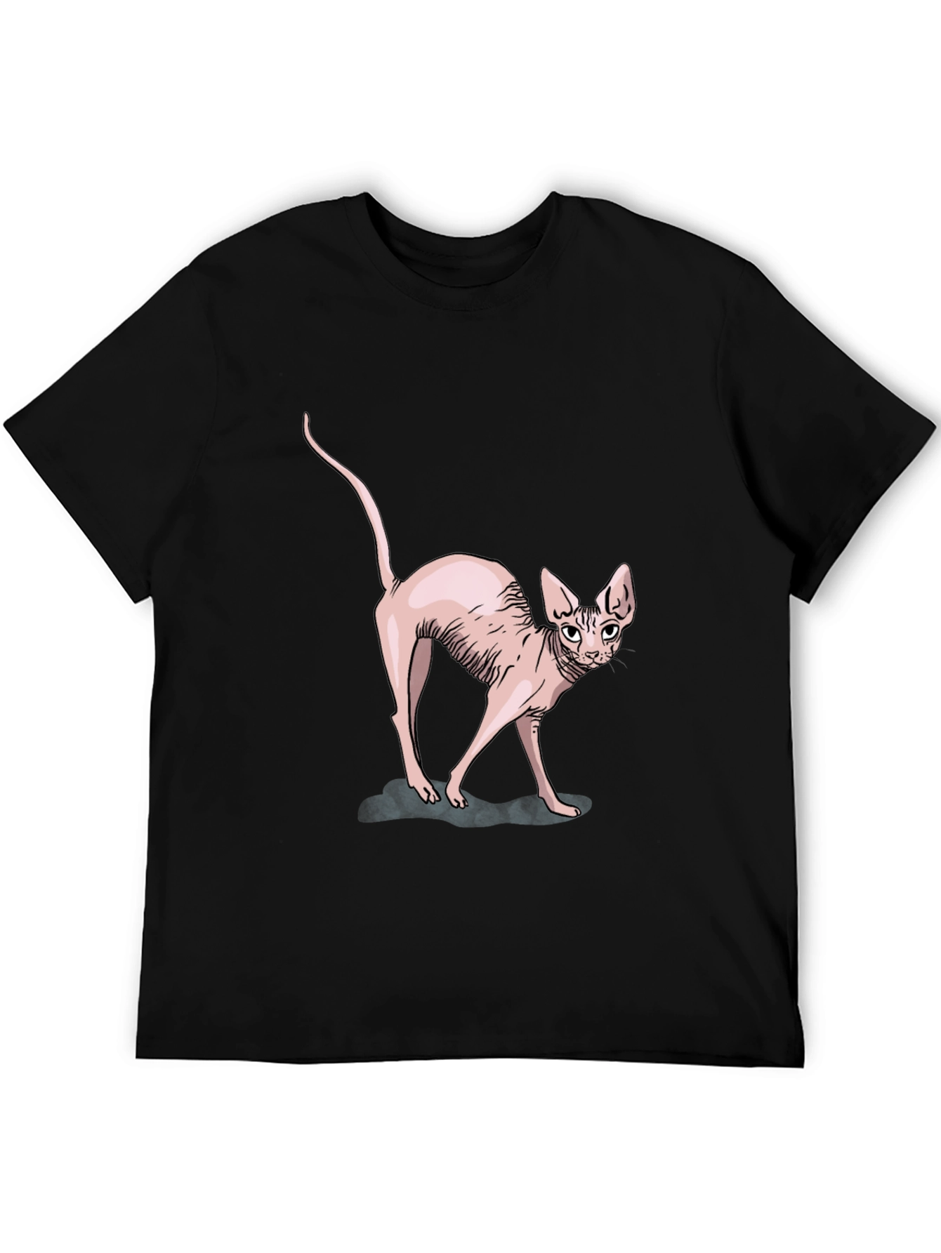 Sphynx Cat Graphic Tee - Black Cotton T-Shirt