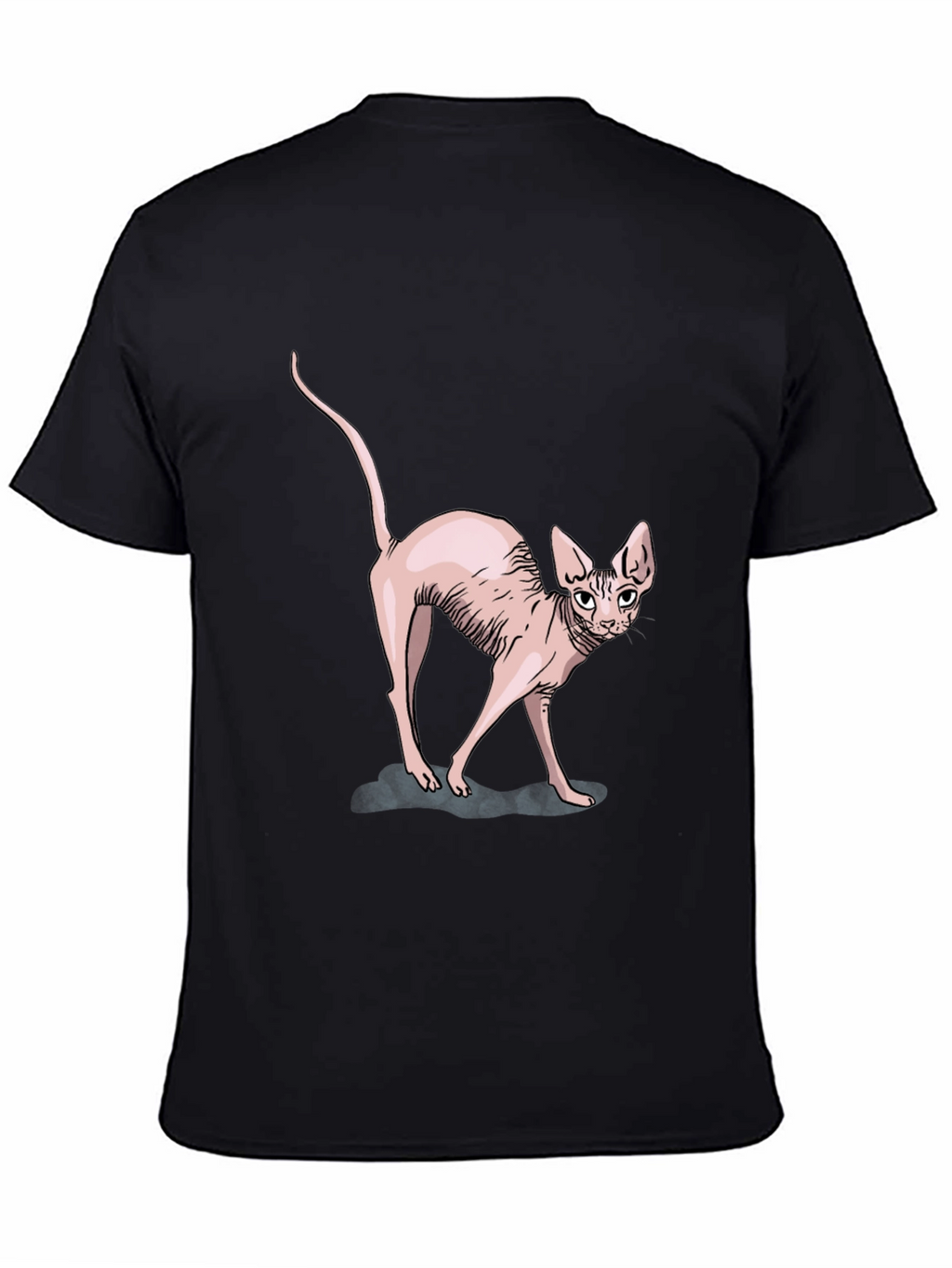 Sphynx Cat Graphic Tee - Black Cotton T-Shirt