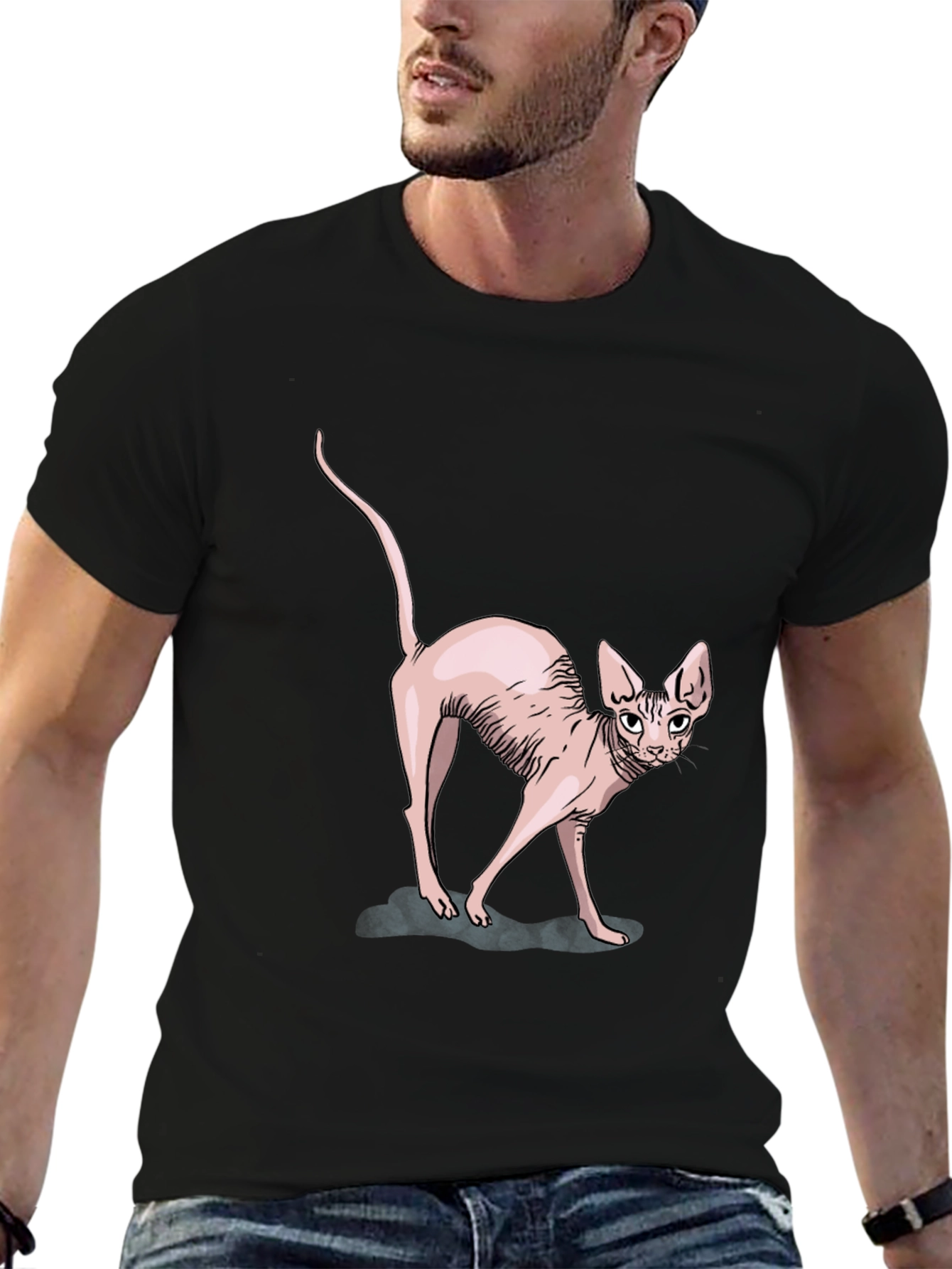 Sphynx Cat Graphic Tee - Black Cotton T-Shirt