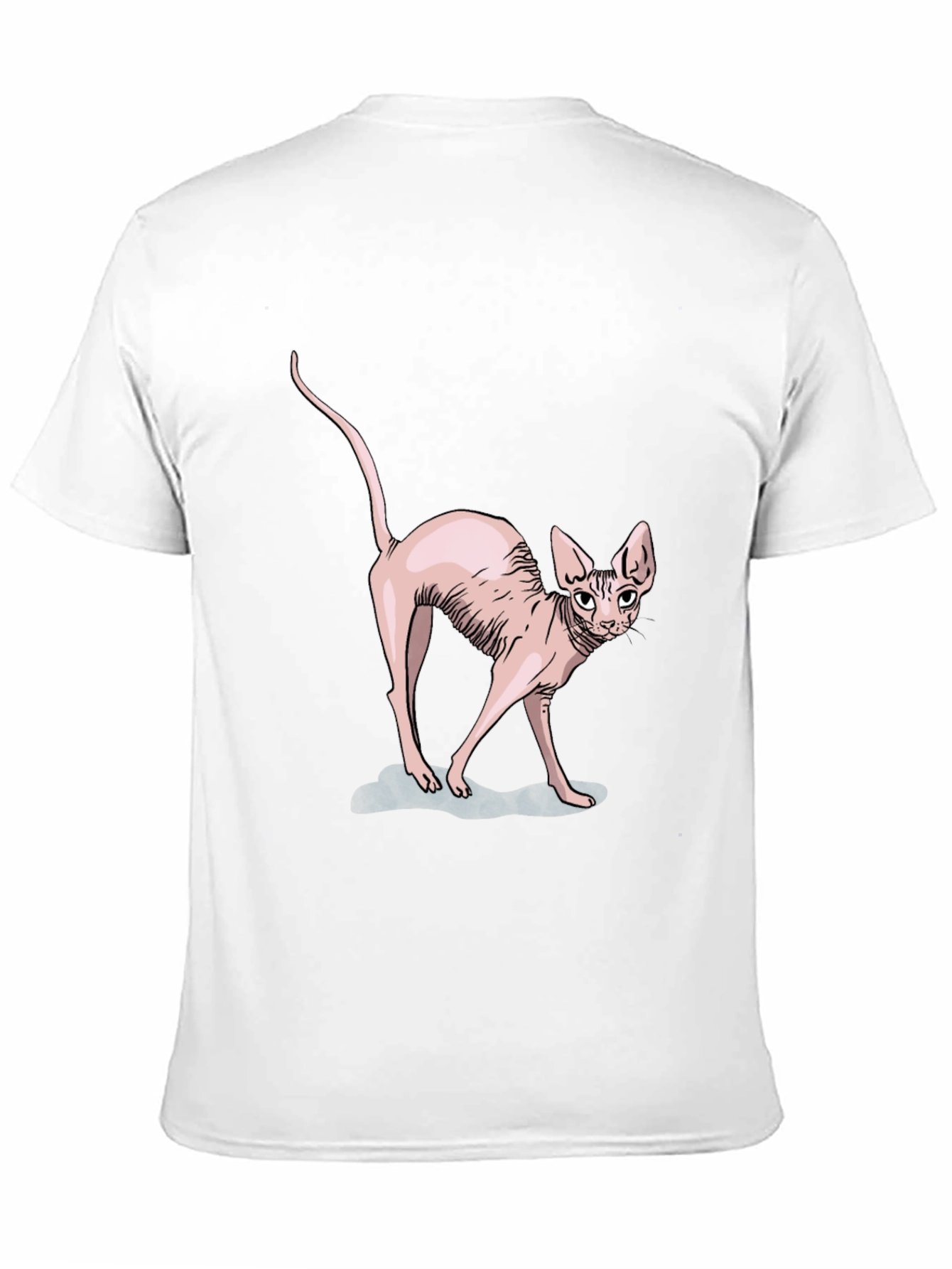 Sphynx Cat Graphic Tee - Black Cotton T-Shirt