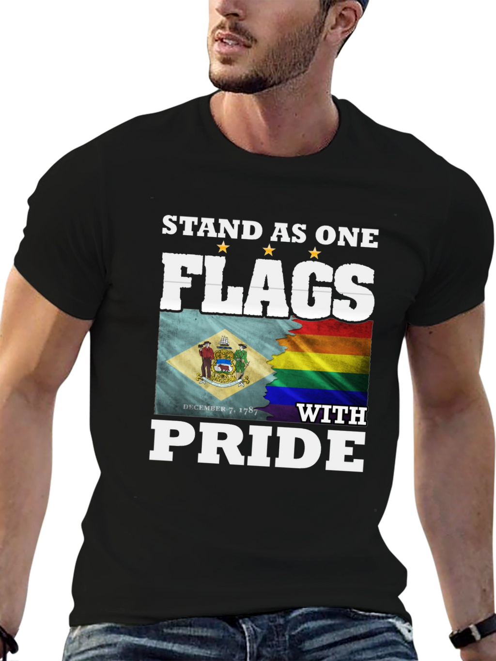 Stand As One Flags T-Shirt Pride LGBT Delaware Flag