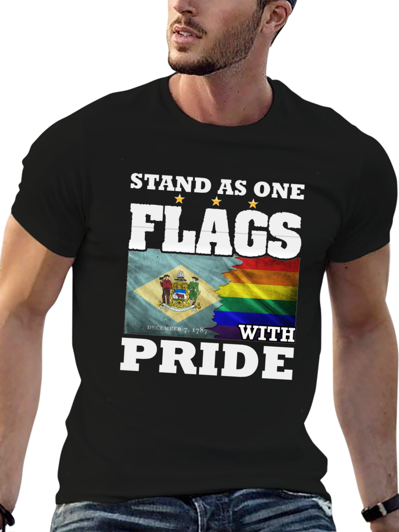 Stand As One Flags T-Shirt Pride LGBT Delaware Flag