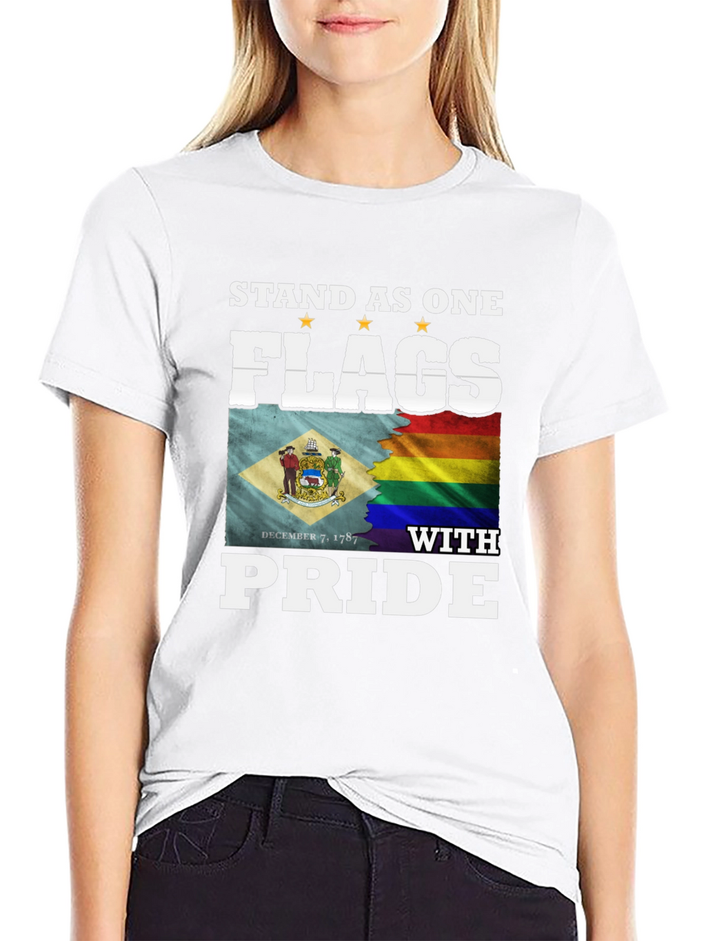 Stand As One Flags T-Shirt Pride LGBT Delaware Flag