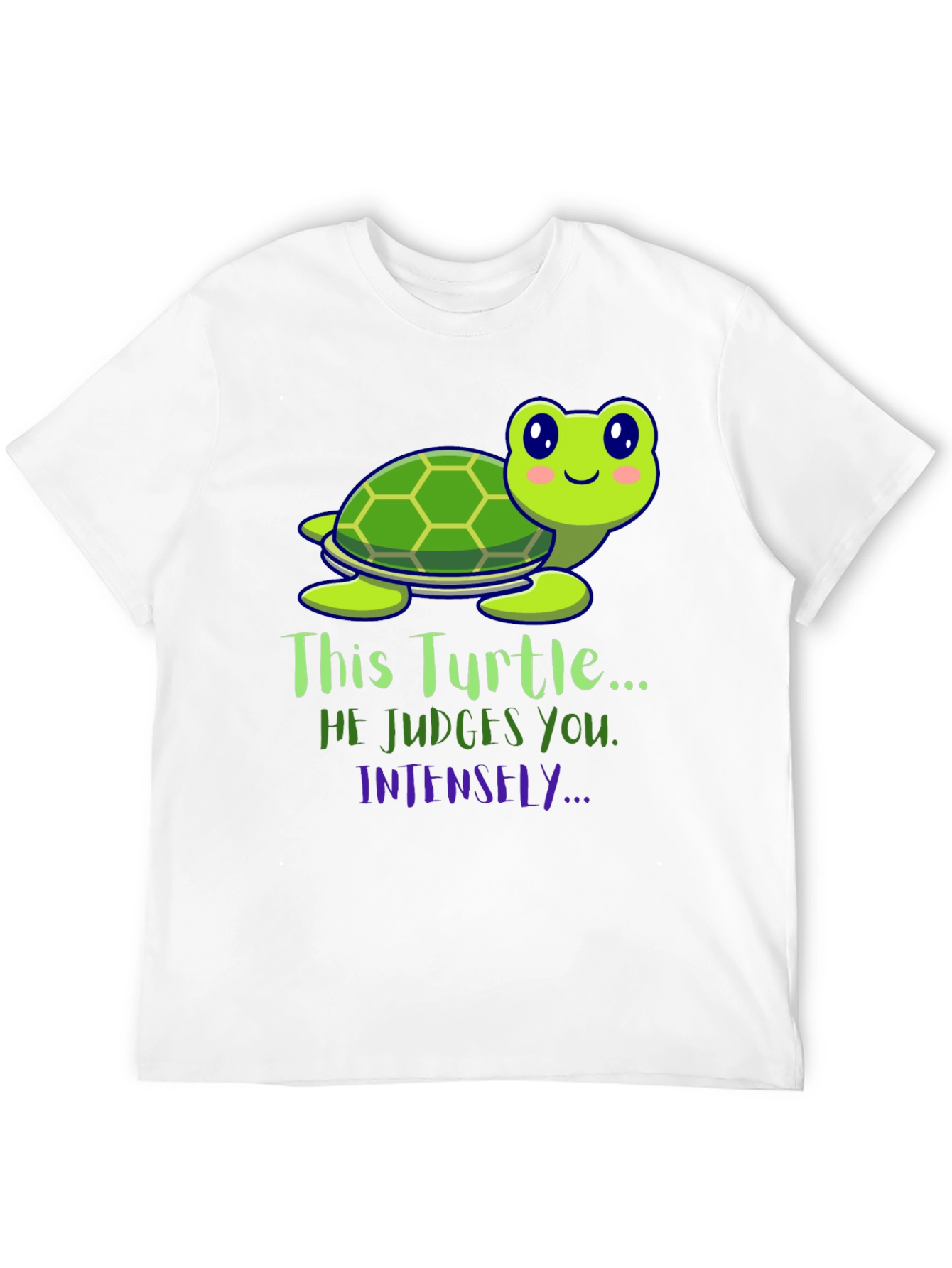 Funny Turtle Graphic Tee: He Judges You Intensely!