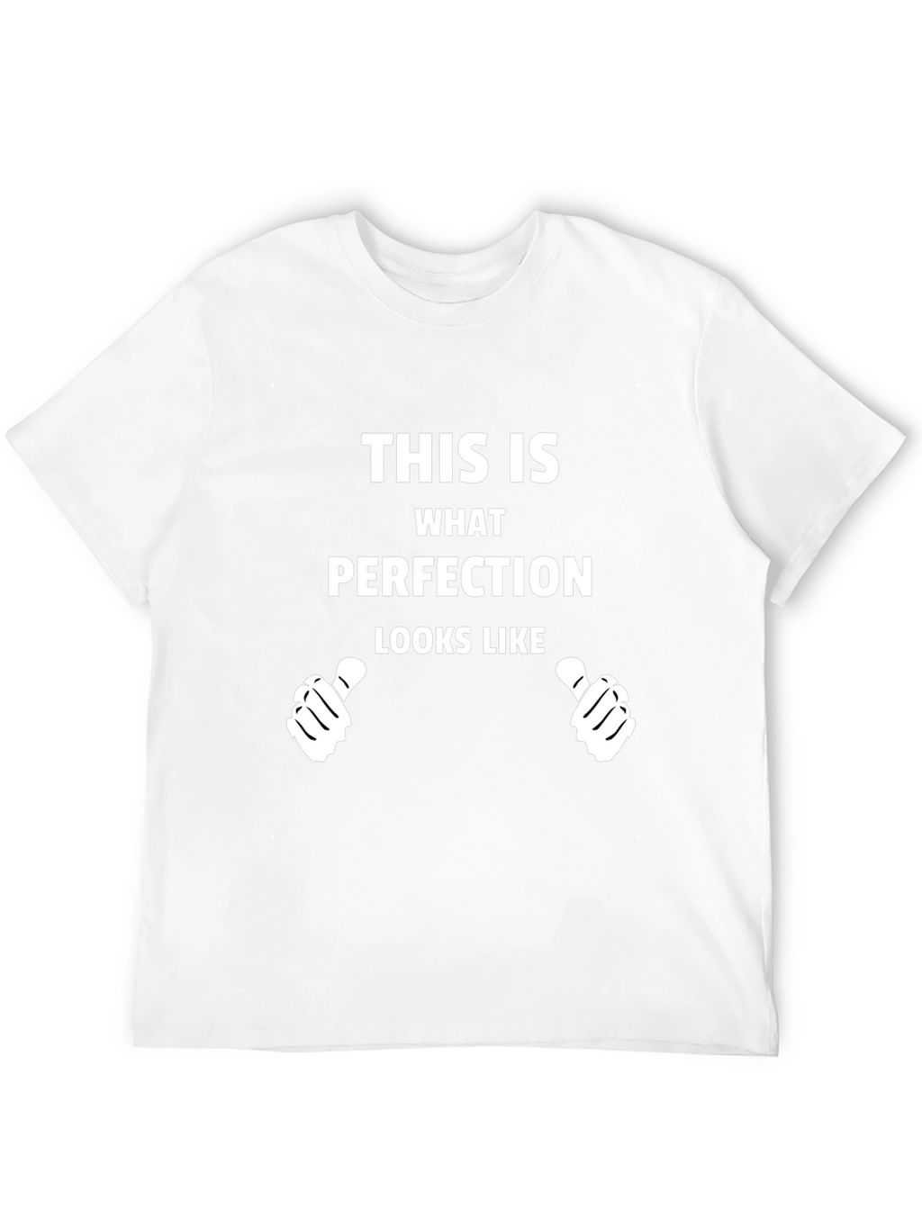 Perfection Graphic Tee - Novelty T-Shirt