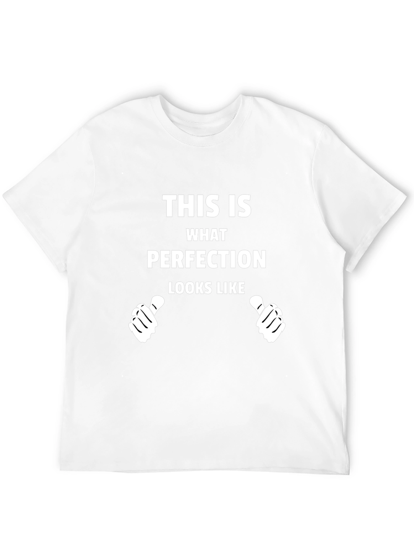 Perfection Graphic Tee - Novelty T-Shirt