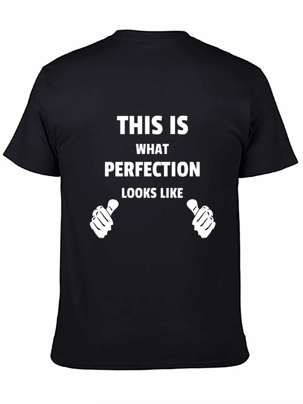 Perfection Graphic Tee - Novelty T-Shirt