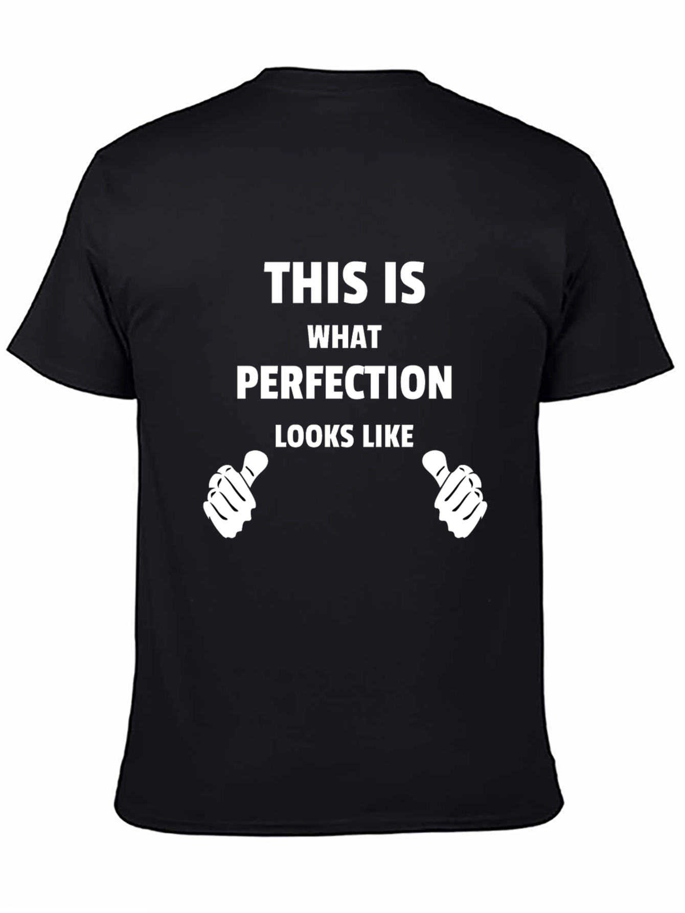 Perfection Graphic Tee - Novelty T-Shirt