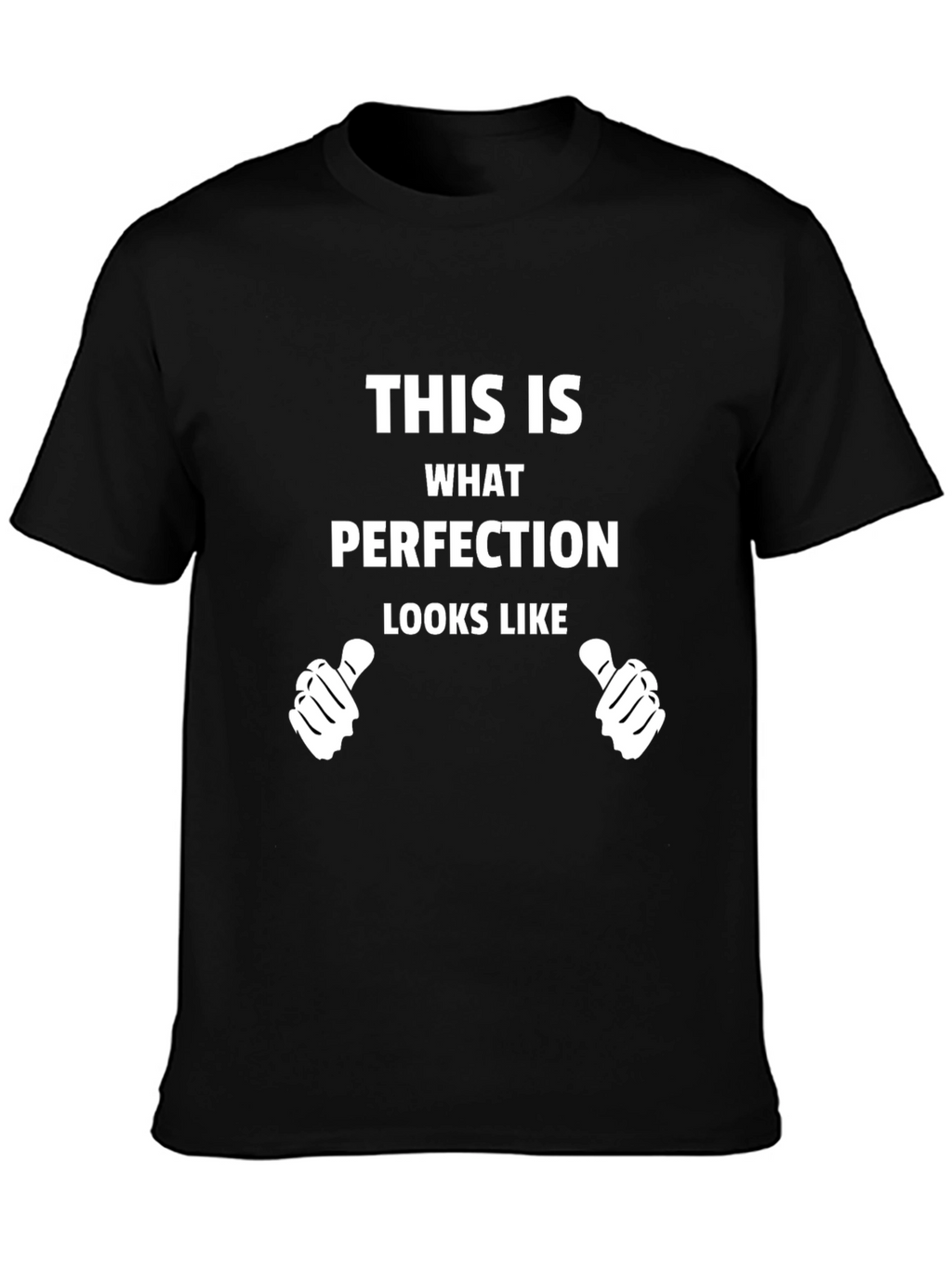 Perfection Graphic Tee - Novelty T-Shirt