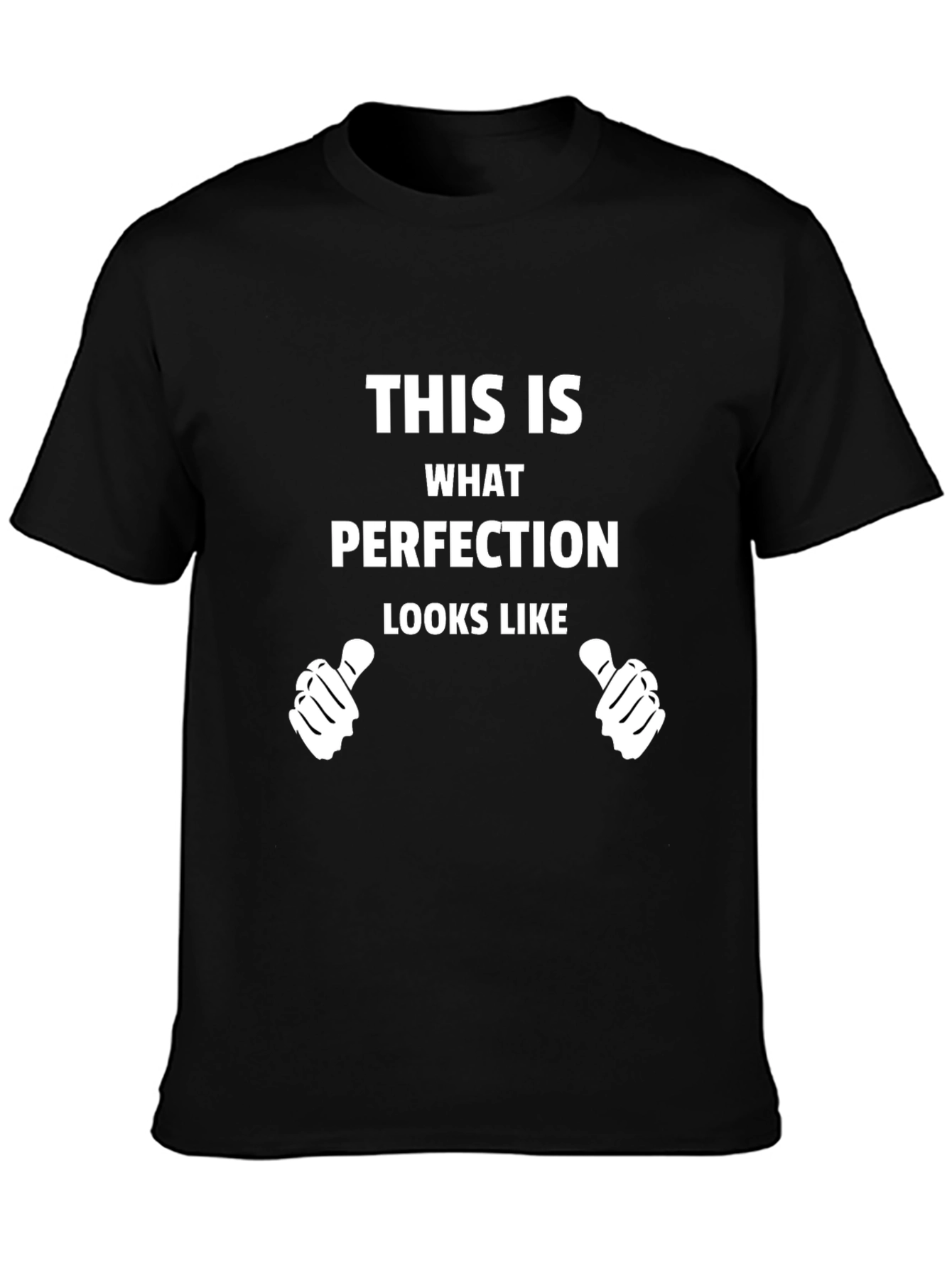 Perfection Graphic Tee - Novelty T-Shirt
