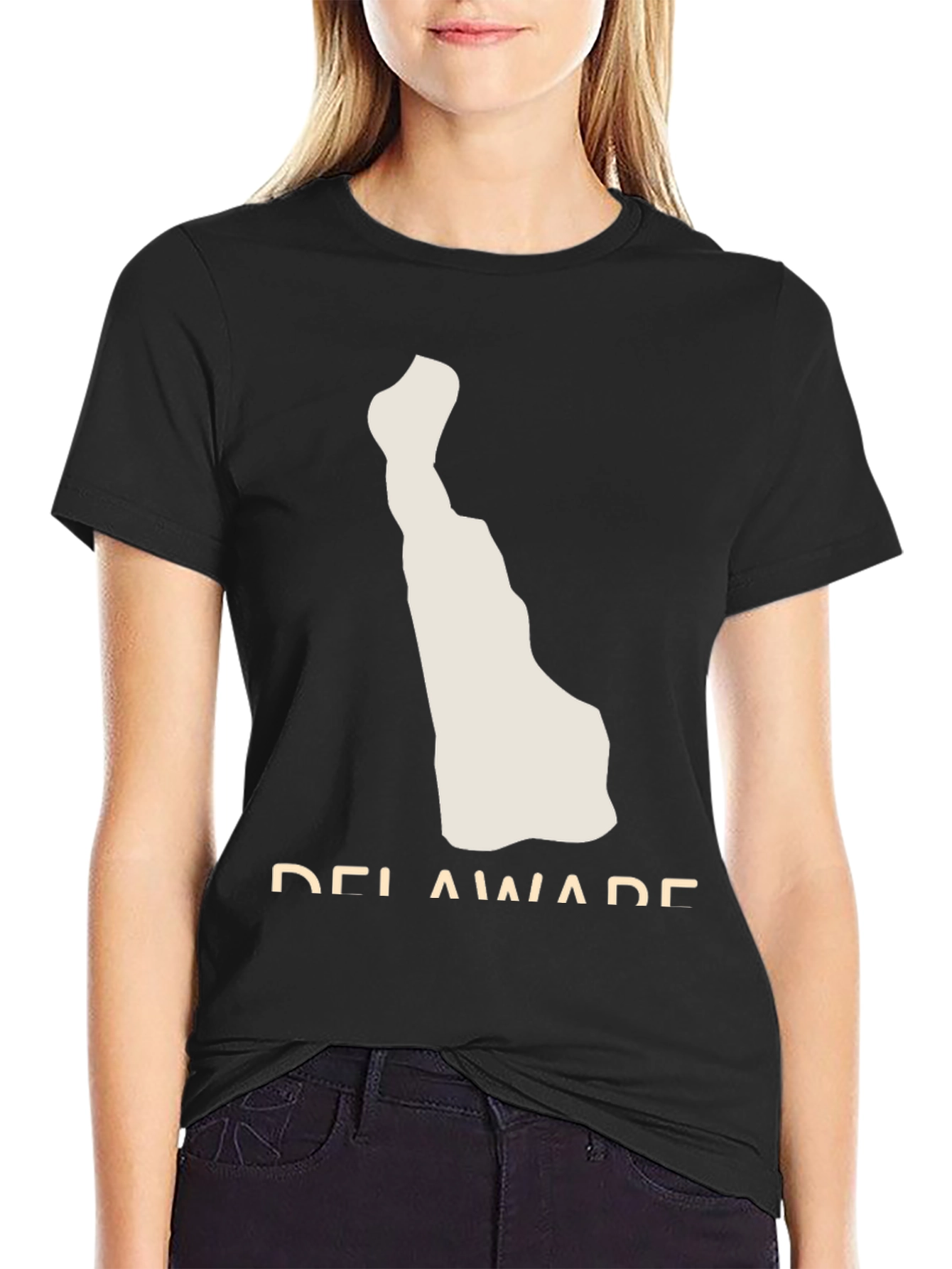 Delaware State Map T-Shirt - Black Graphic Tee