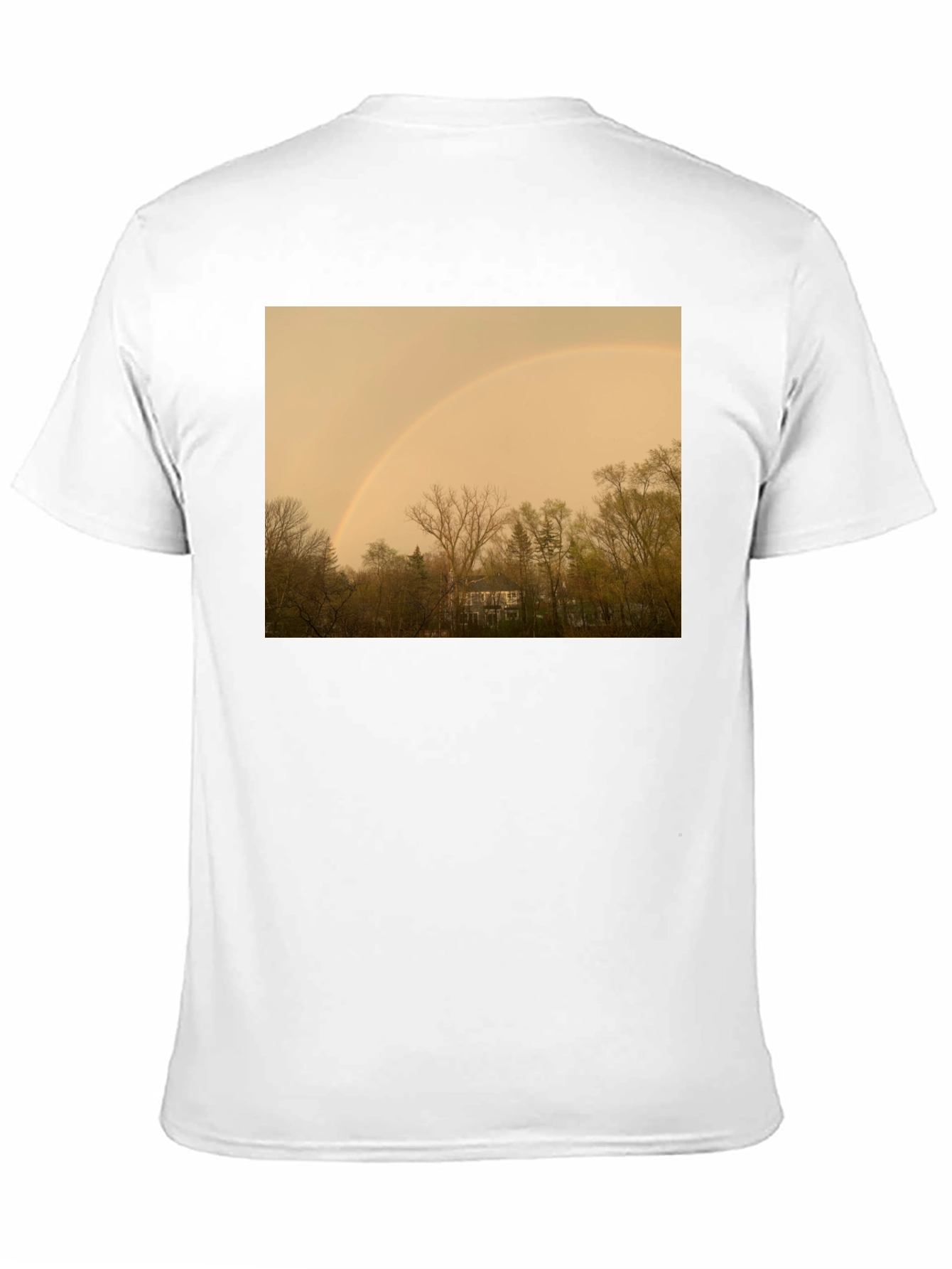 Rainbow Over Trees Graphic Tee - Classic Fit