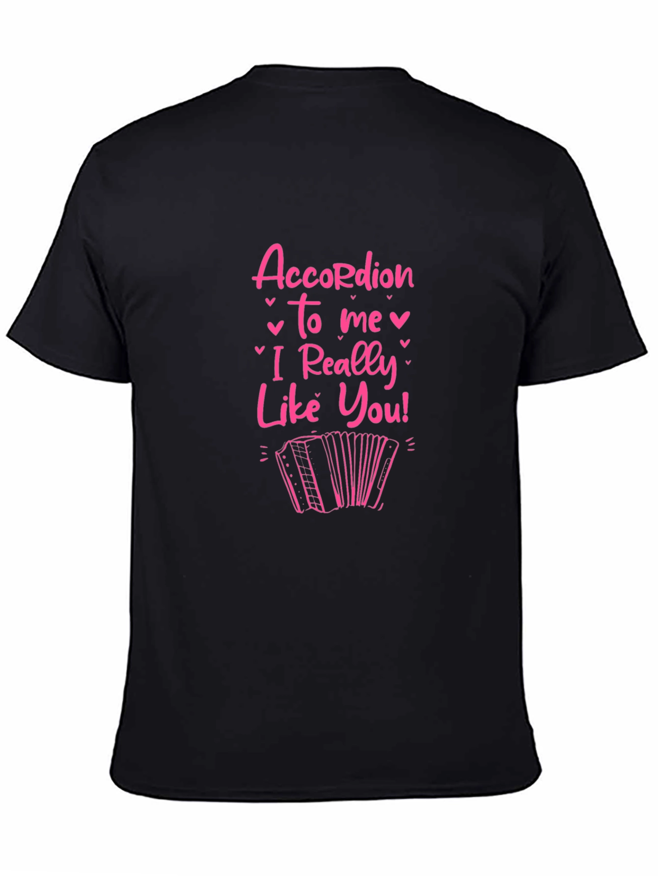 Accordion To Me I Really Like You T-Shirt