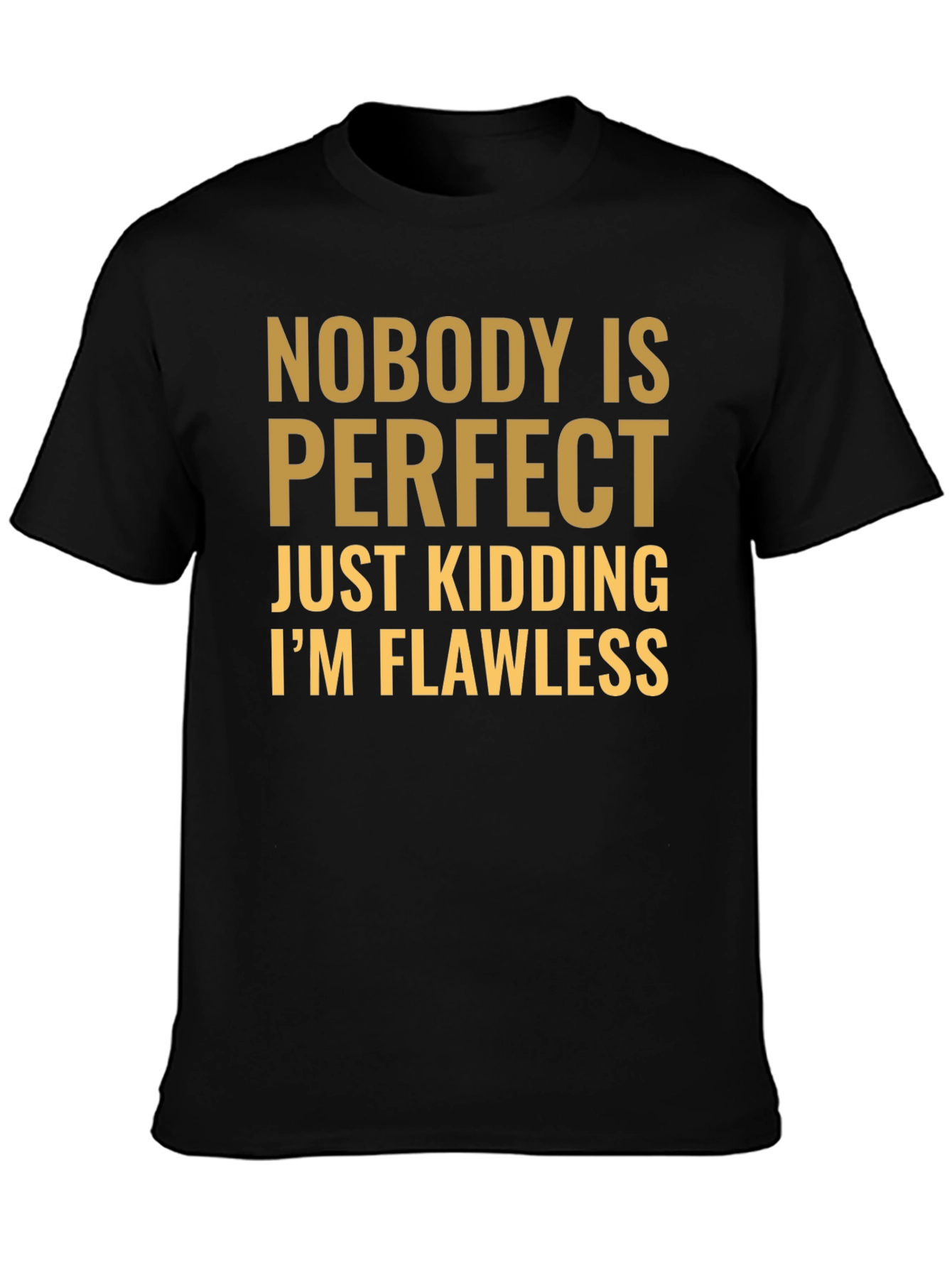 Funny Nobody is Perfect Graphic T-Shirt