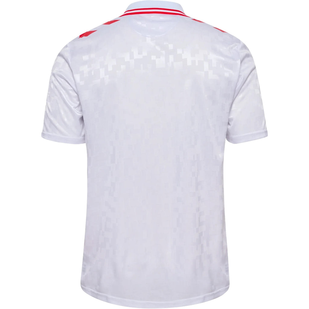 24/25 Denmark Away Jersey Back