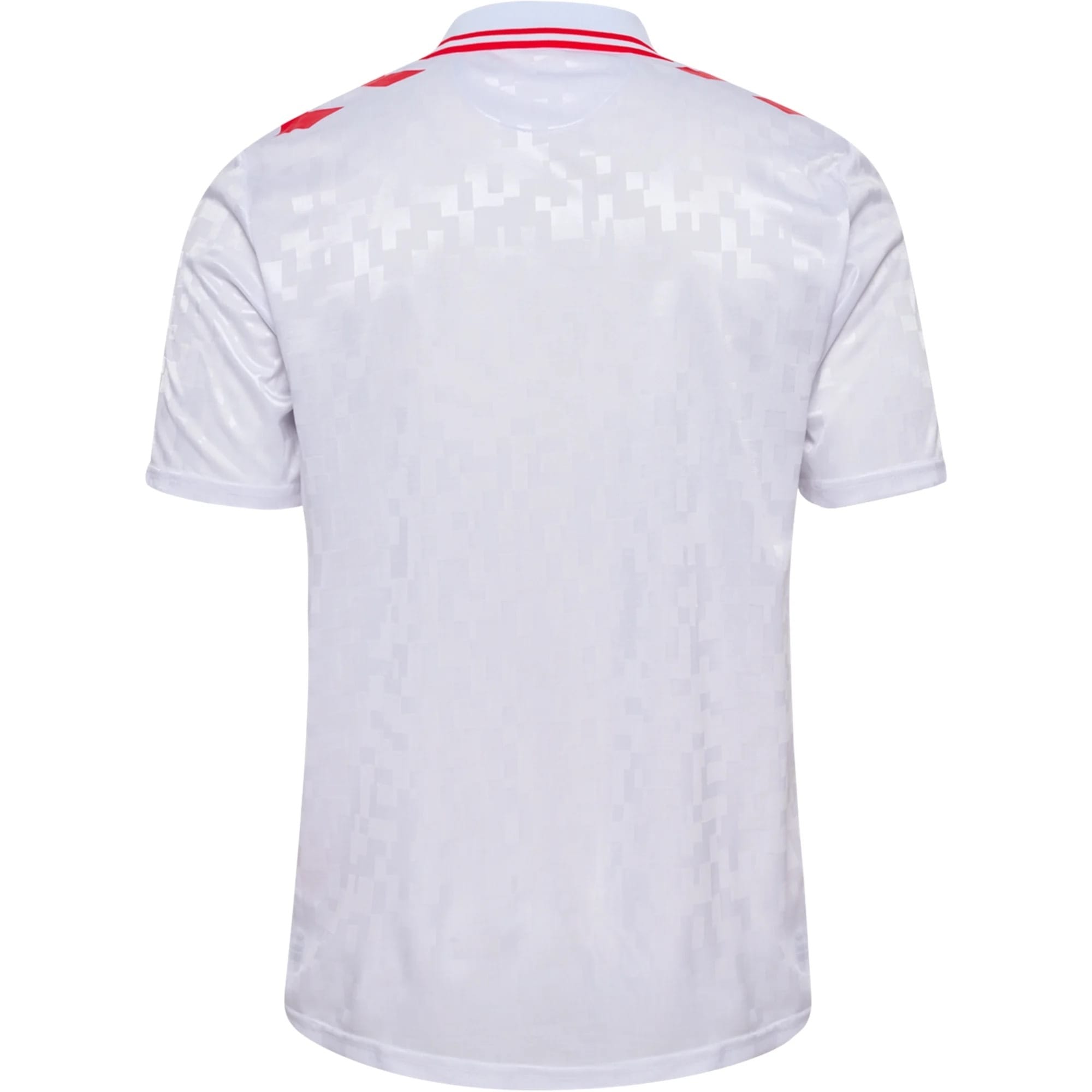 24/25 Denmark Away Jersey Back