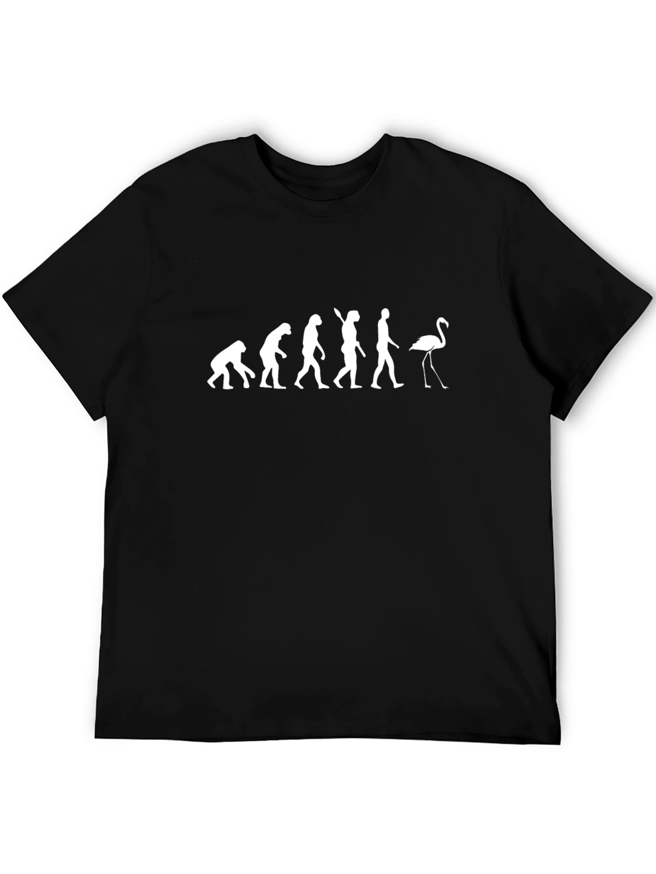 Evolution Flamingo Graphic Tee - Black