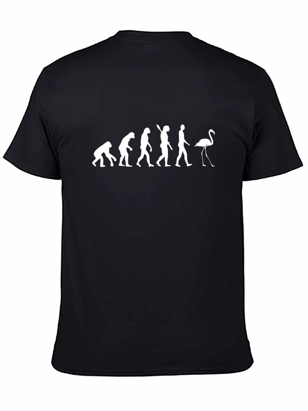 Evolution Flamingo Graphic Tee - Black