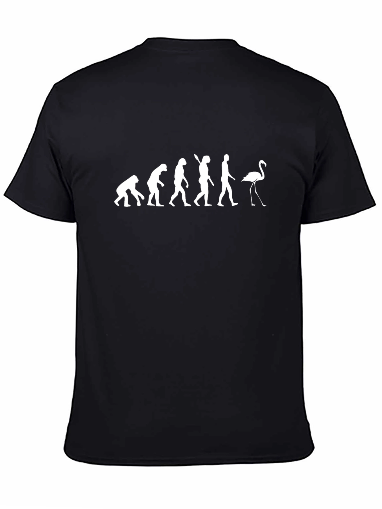 Evolution Flamingo Graphic Tee - Black
