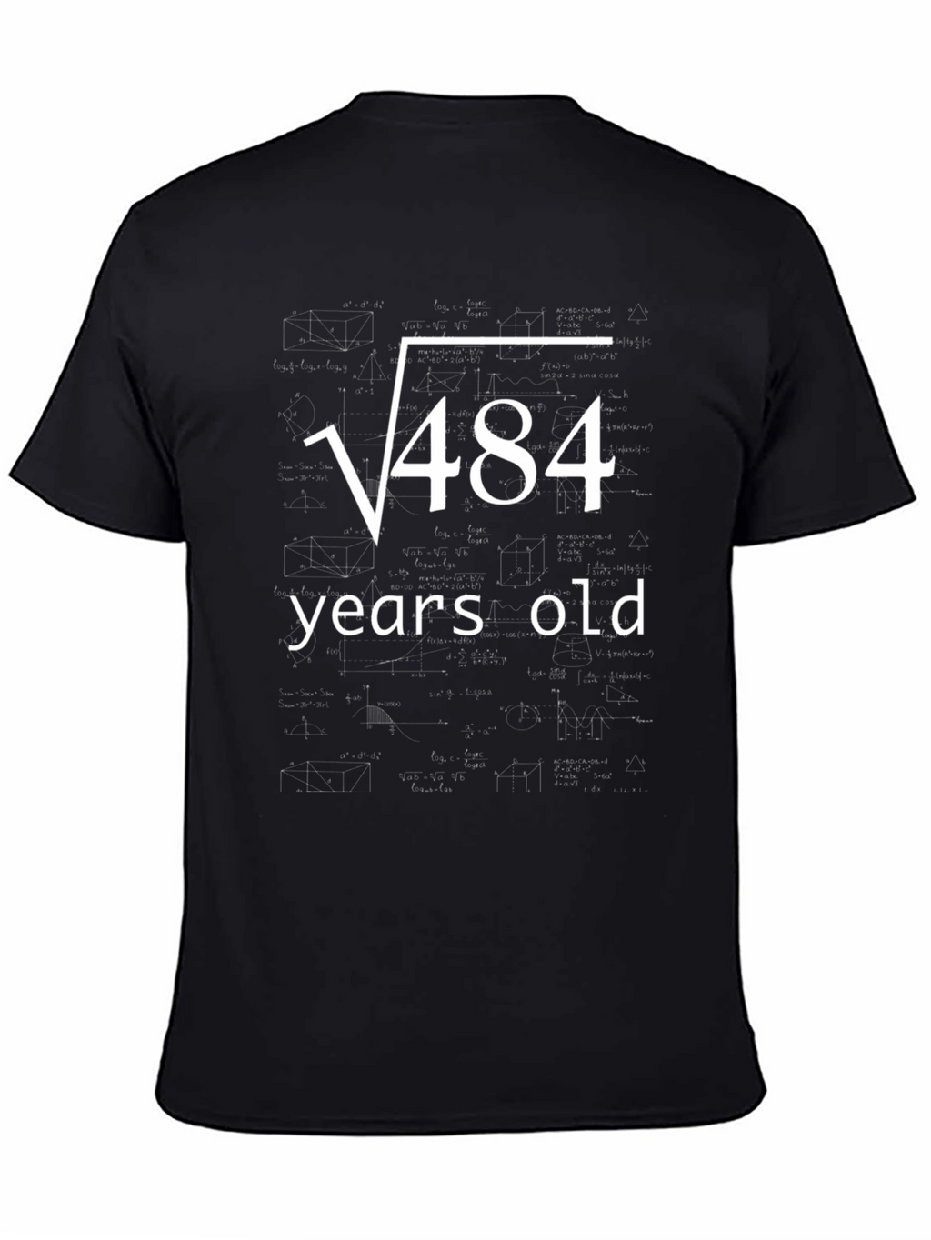 Funny 22nd Birthday T-Shirt Square Root of 484