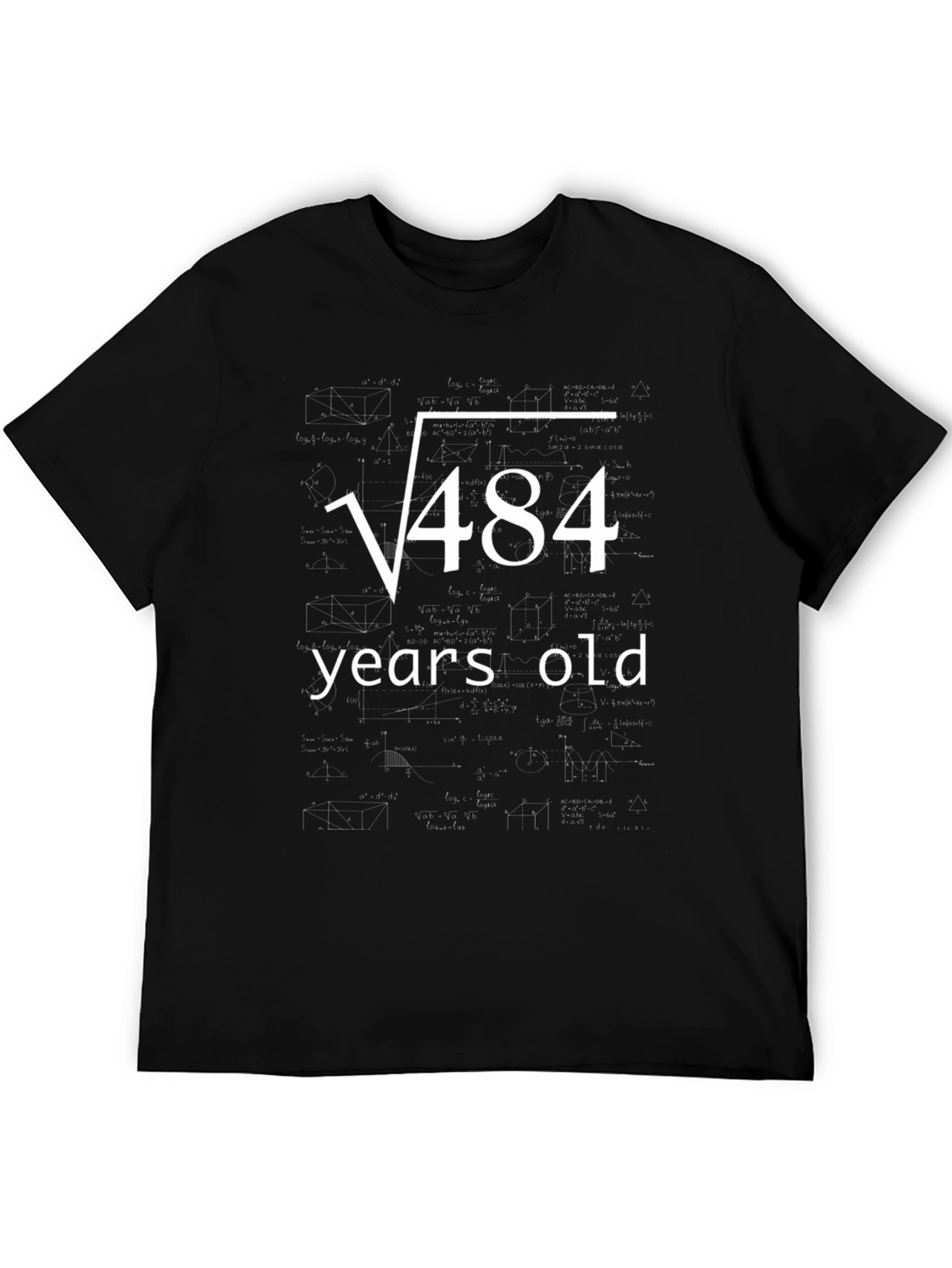Funny 22nd Birthday T-Shirt Square Root of 484