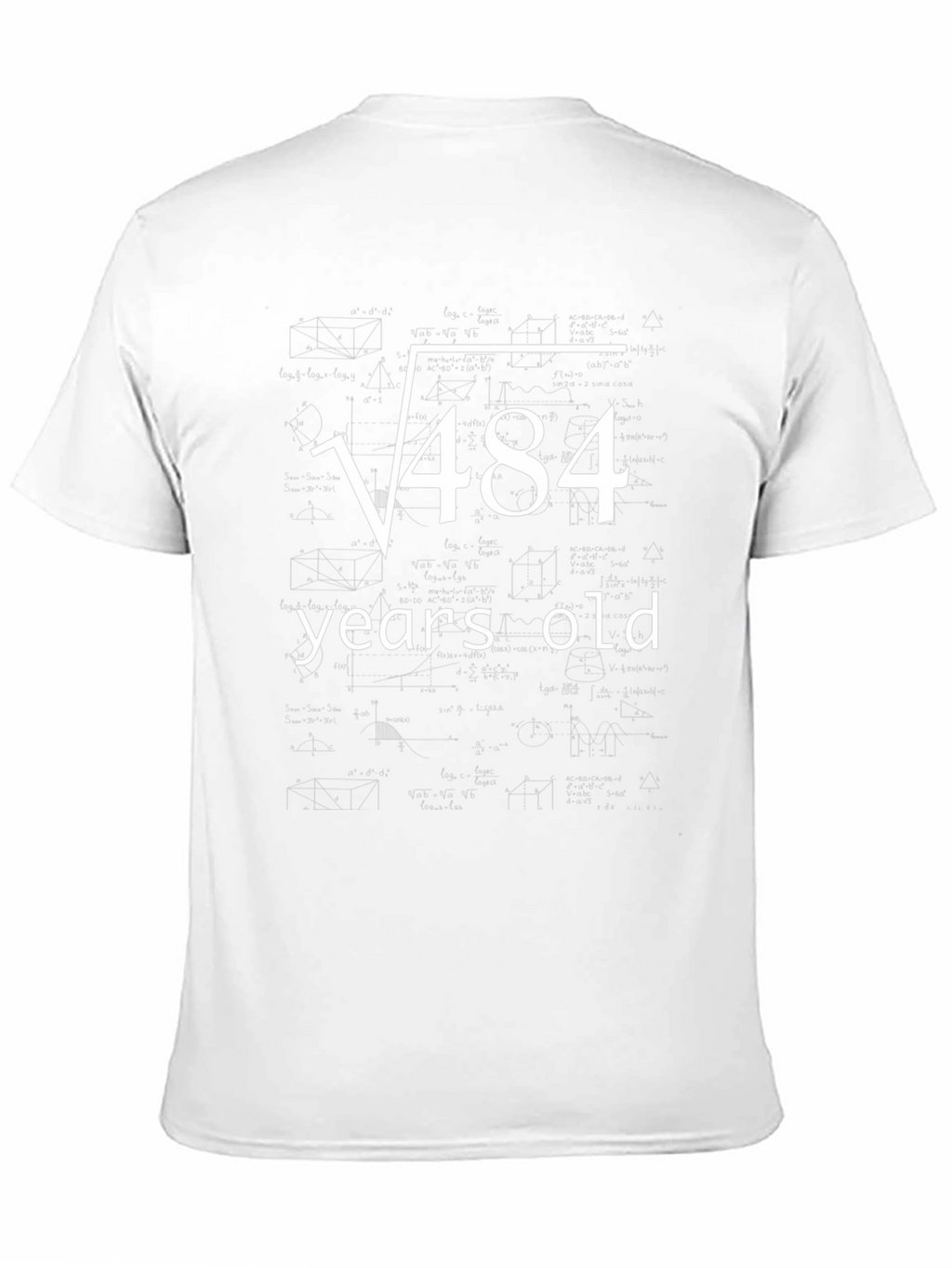Funny 22nd Birthday T-Shirt Square Root of 484