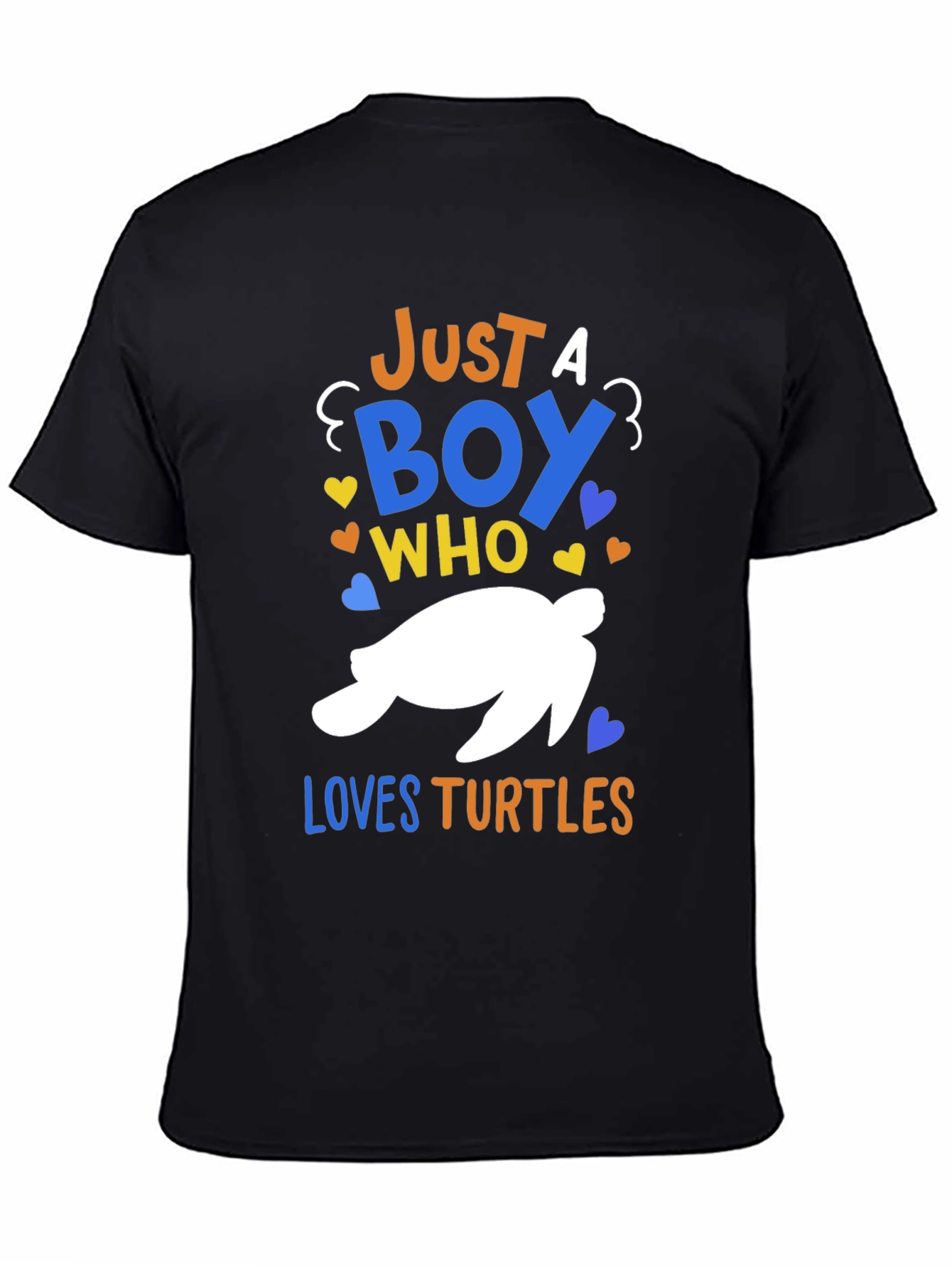 Boys Turtle Lover T-Shirt - Just A Boy Who Loves Turtles